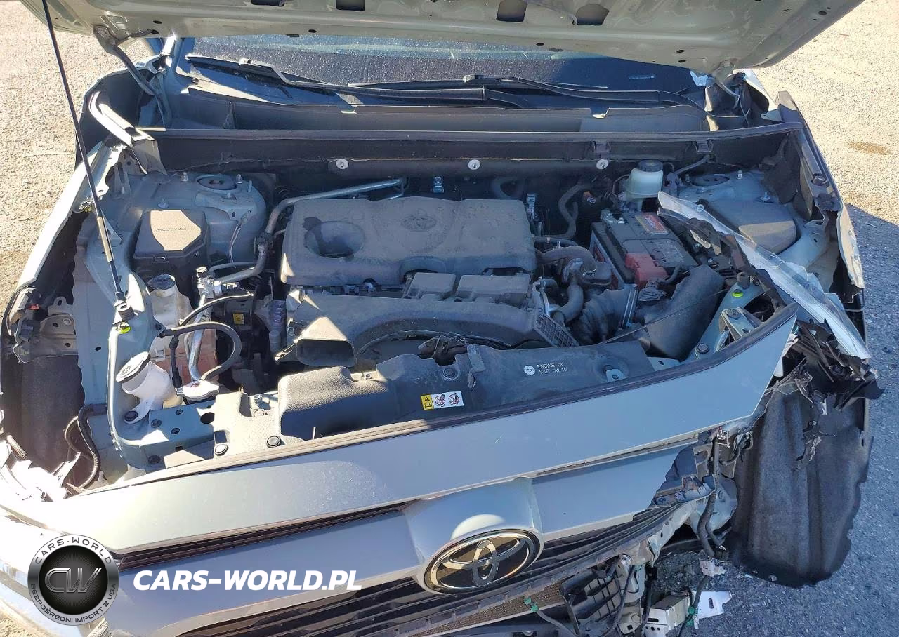 2019 Toyota Rav4 Xle VIN:JTMW1RFV1KD040968 - 11