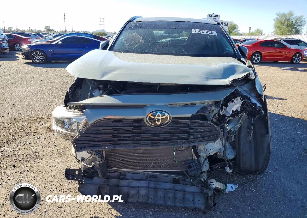 2019 Toyota Rav4 Xle VIN:JTMW1RFV1KD040968 - 5
