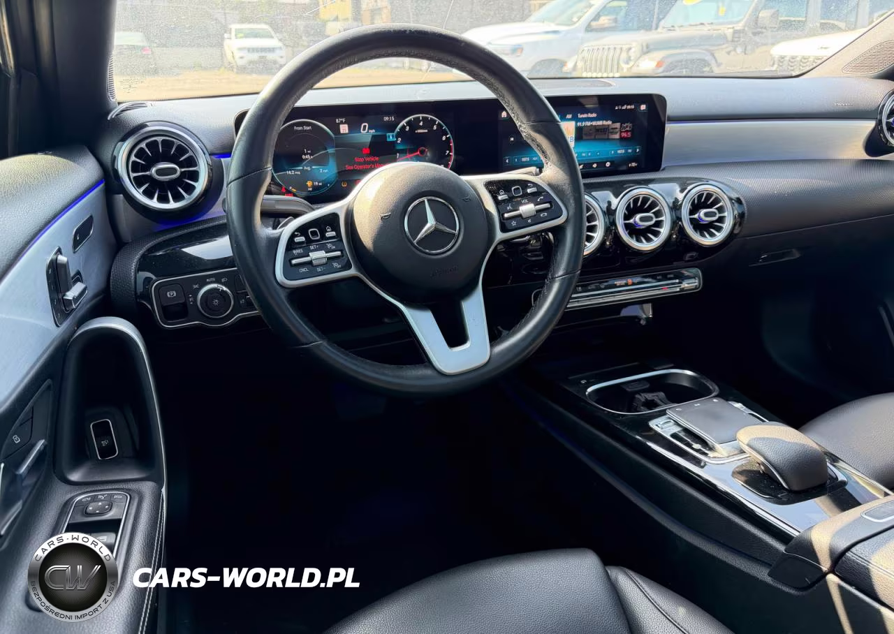2019 Mercedes-Benz A 220 4Matic VIN:WDD3G4FB0KW024667 - 9