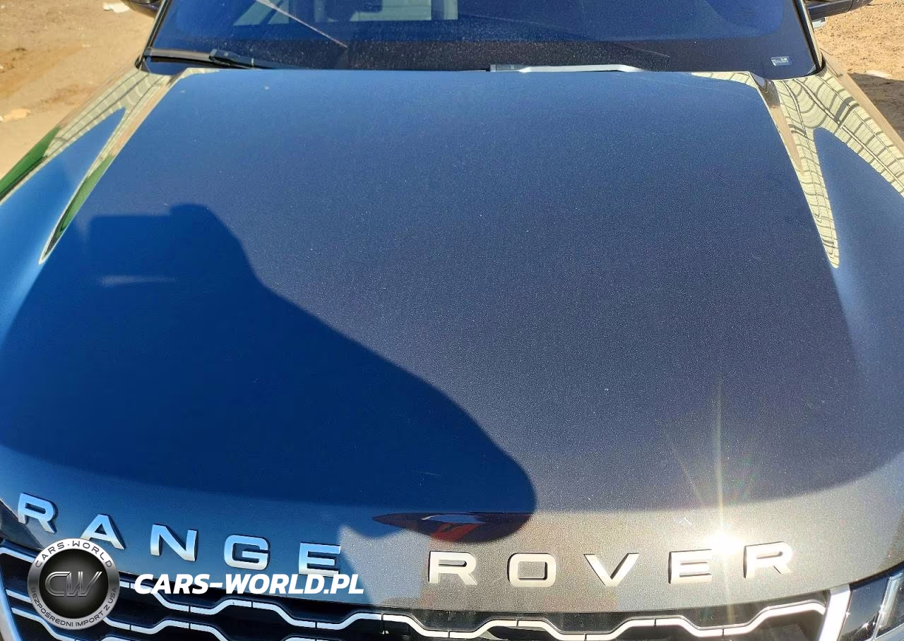 2020 Land Rover Range Rover Evoque S VIN:SALZJ2FX6LH080729 - 11