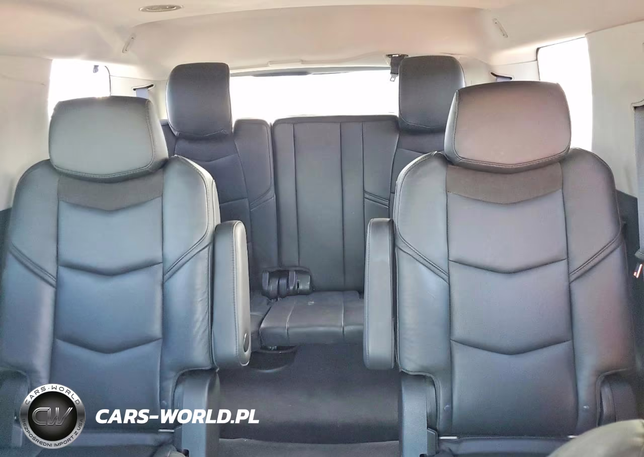 2015 Cadillac Escalade Luxury VIN:1GYS4MKJXFR739658 - 10