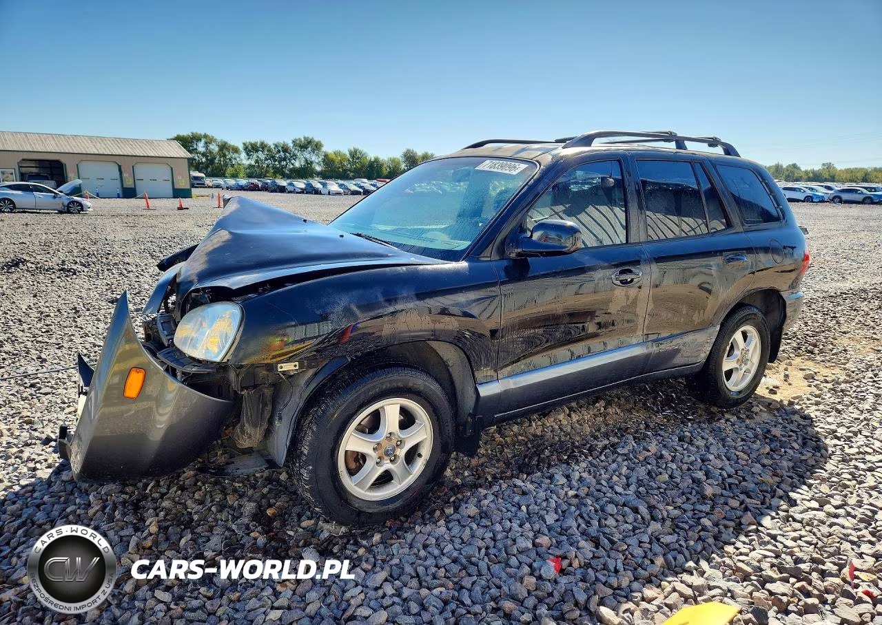 2002 Hyundai Santa Fe Gls – zdjęcie 1 z 13