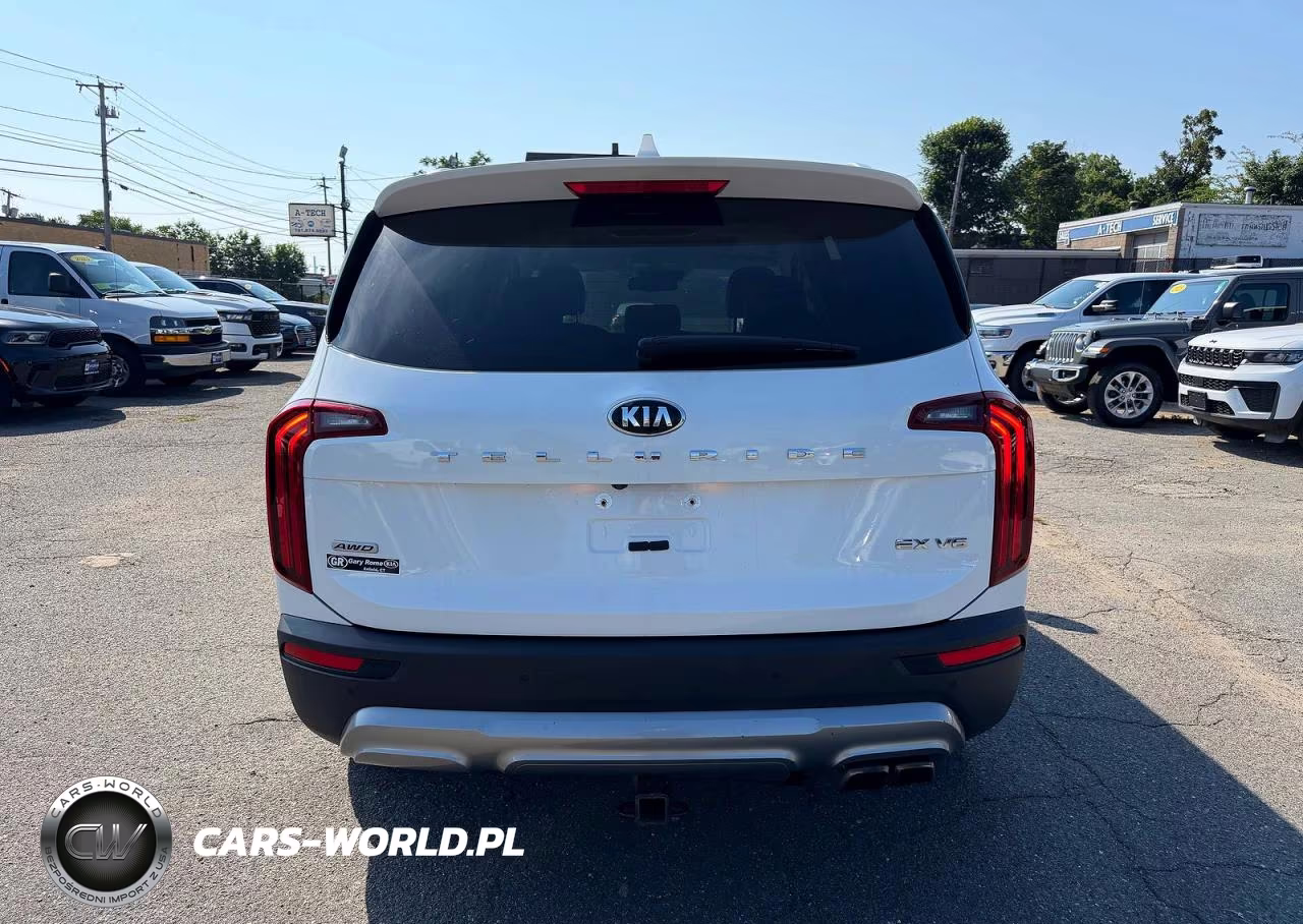 2020 Kia Telluride Ex VIN:5XYP3DHCXLG012960 - 12