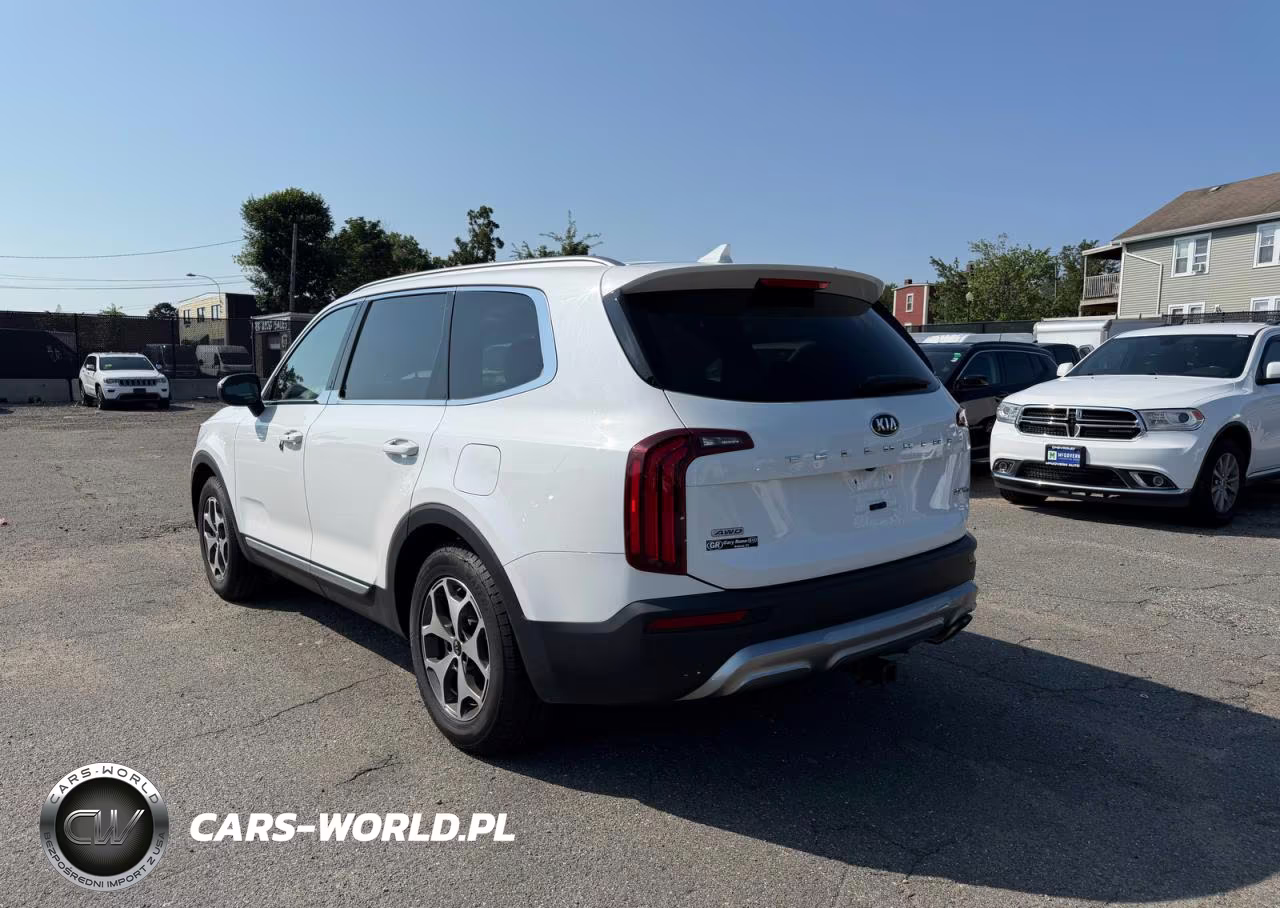 2020 Kia Telluride Ex VIN:5XYP3DHCXLG012960 - 3