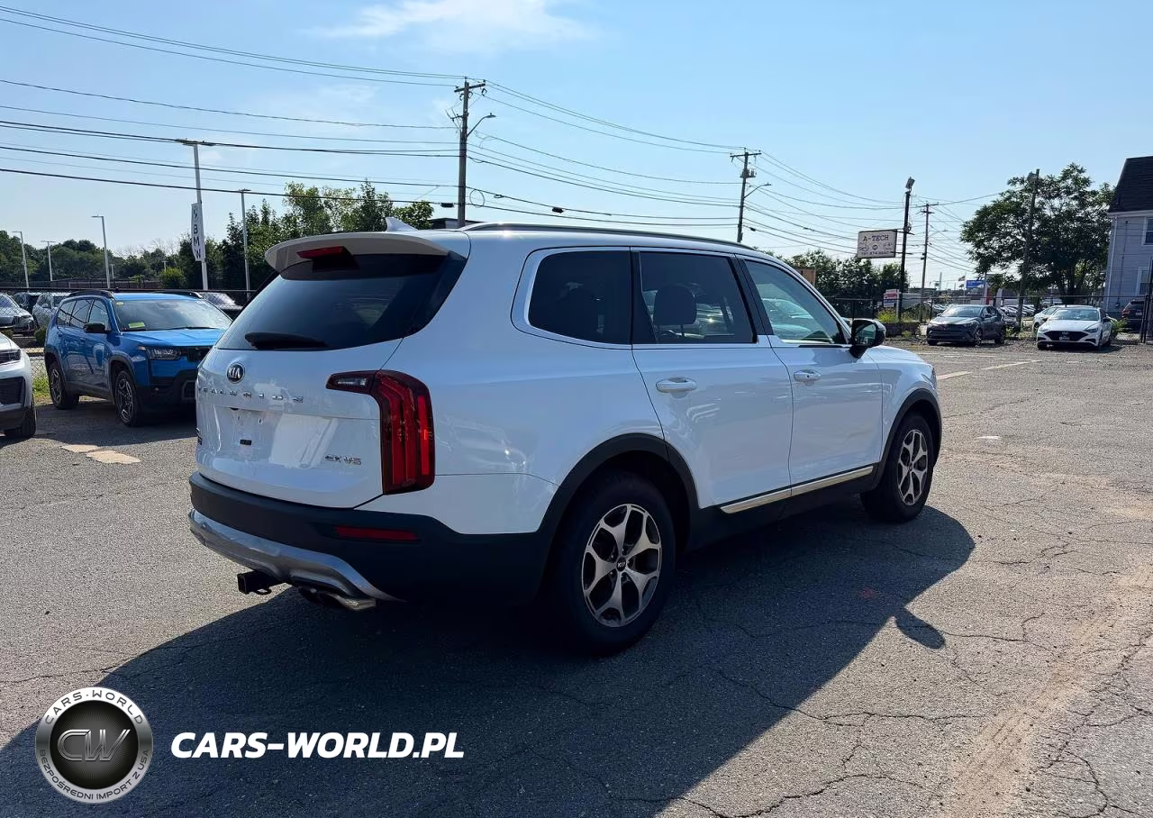 2020 Kia Telluride Ex VIN:5XYP3DHCXLG012960 - 4