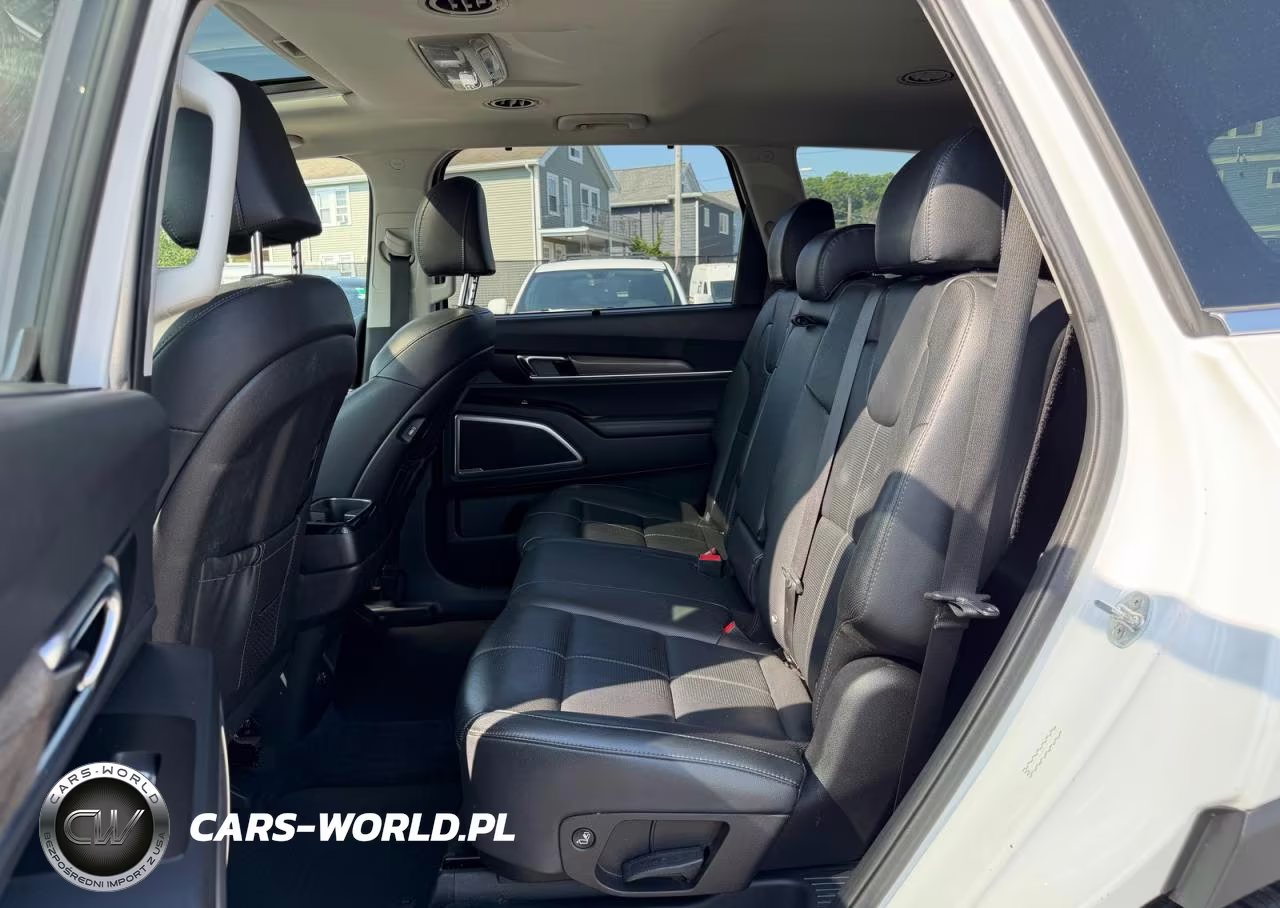 2020 Kia Telluride Ex VIN:5XYP3DHCXLG012960 - 6