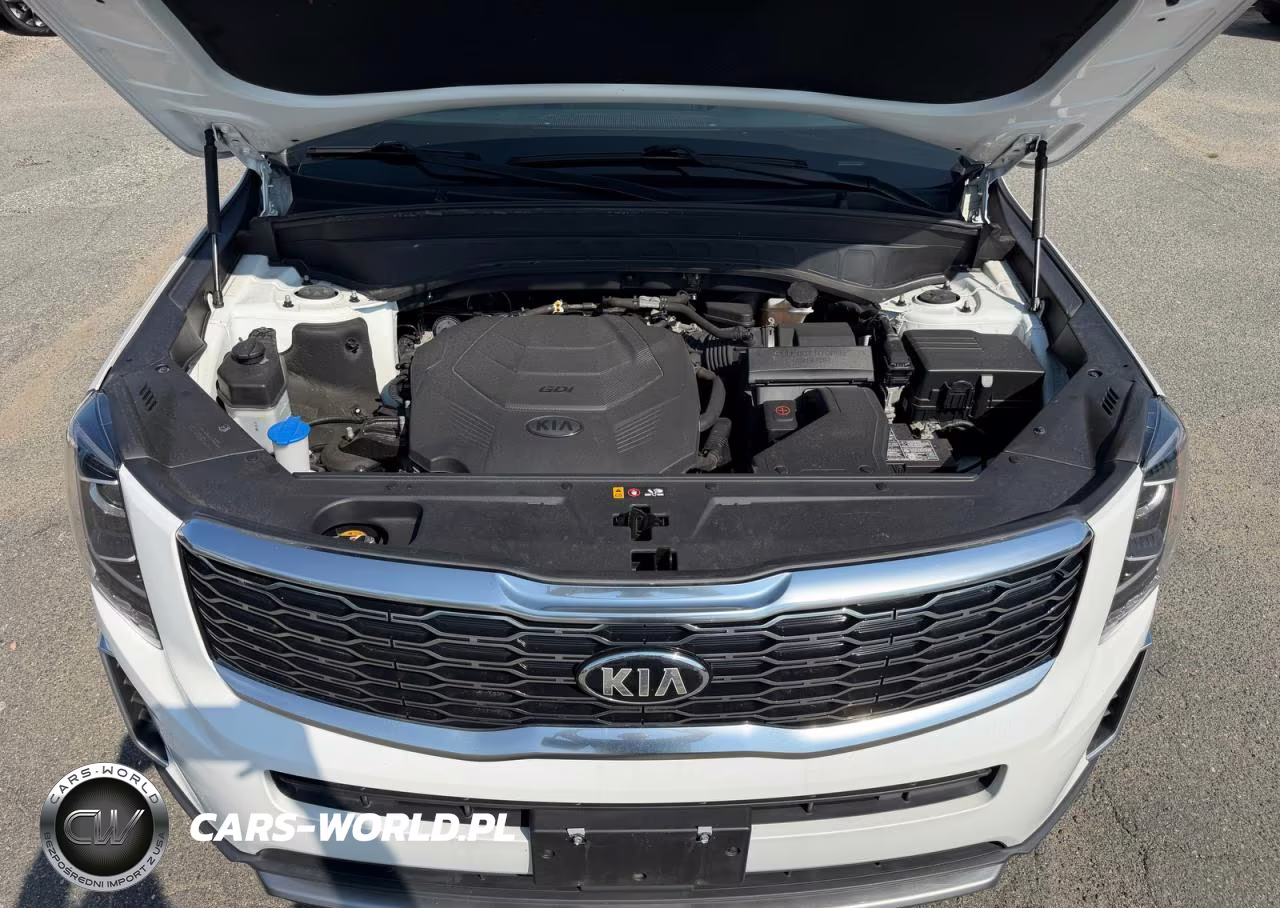 2020 Kia Telluride Ex VIN:5XYP3DHCXLG012960 - 7
