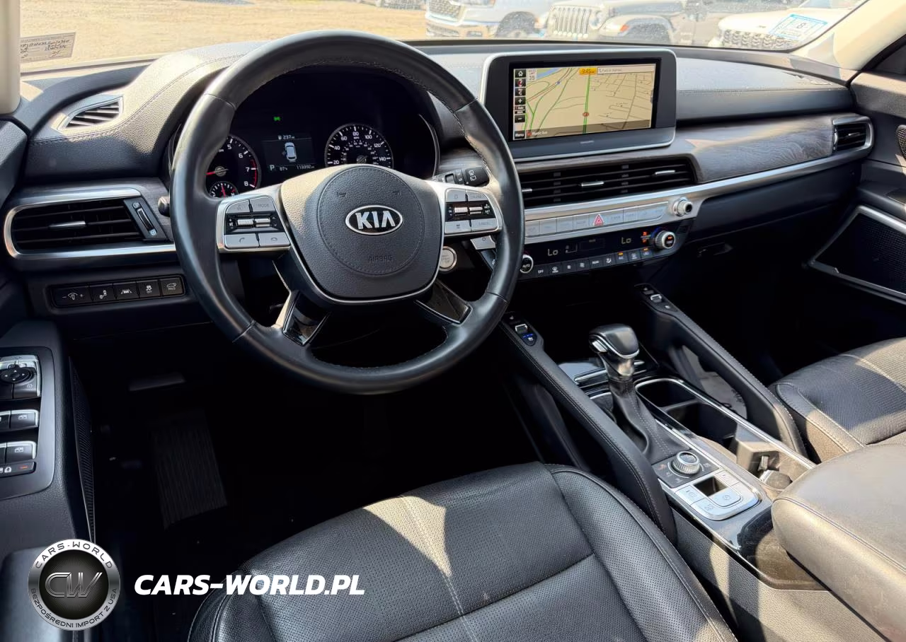 2020 Kia Telluride Ex VIN:5XYP3DHCXLG012960 - 9