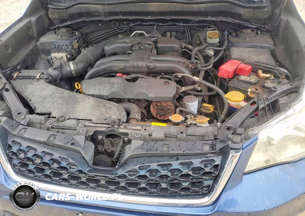 2014 Subaru Forester 2.5I Premium VIN:JF2SJAEC8EH424826 - 12