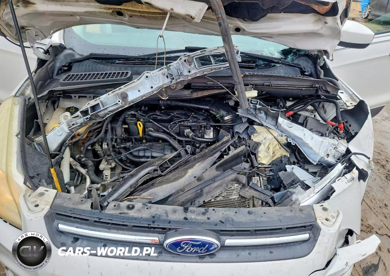 2015 Ford Escape Se VIN:1FMCU0GX1FUC28980 - 12