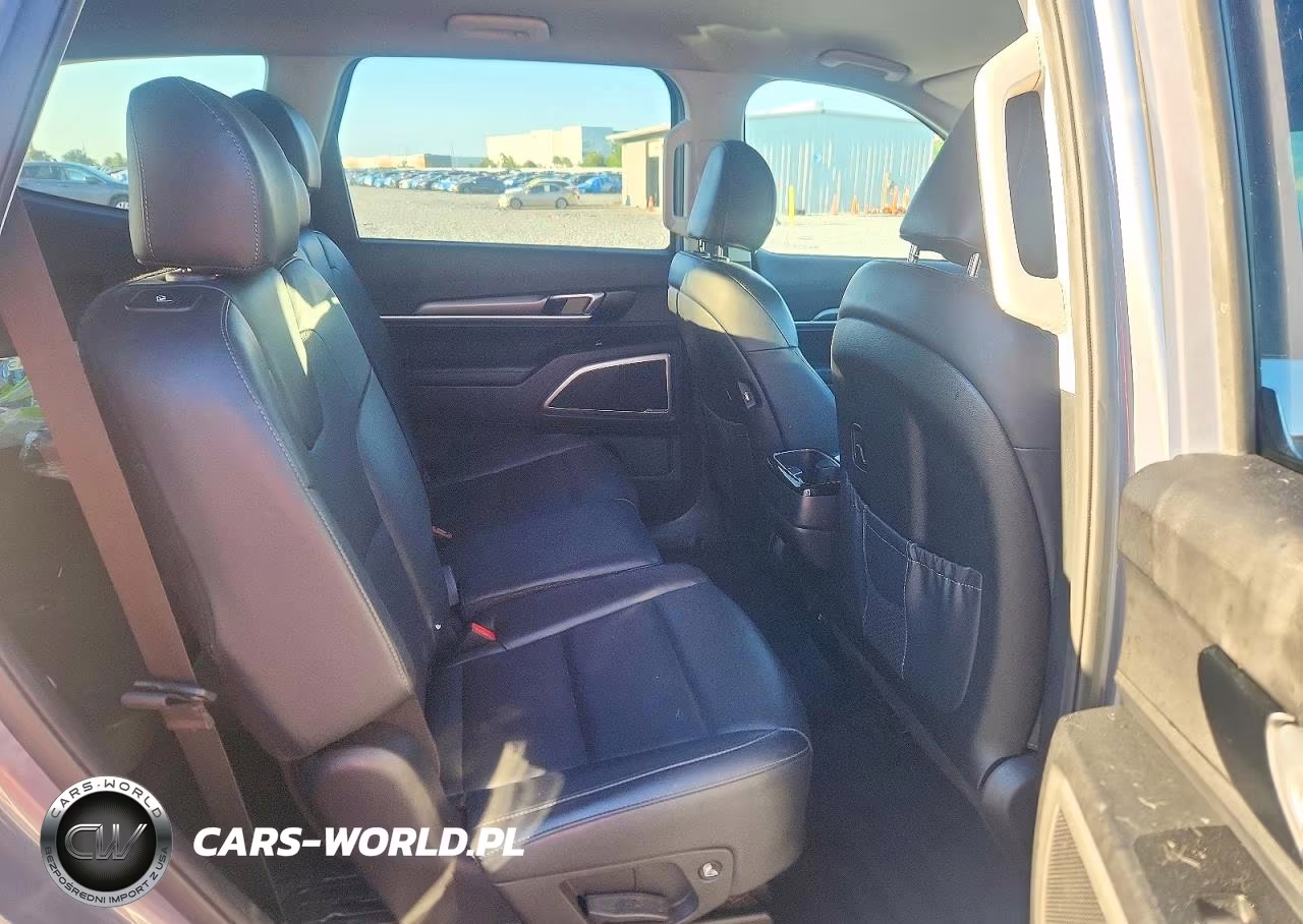 2020 Kia Telluride Lx VIN:5XYP24HC2LG031828 - 11