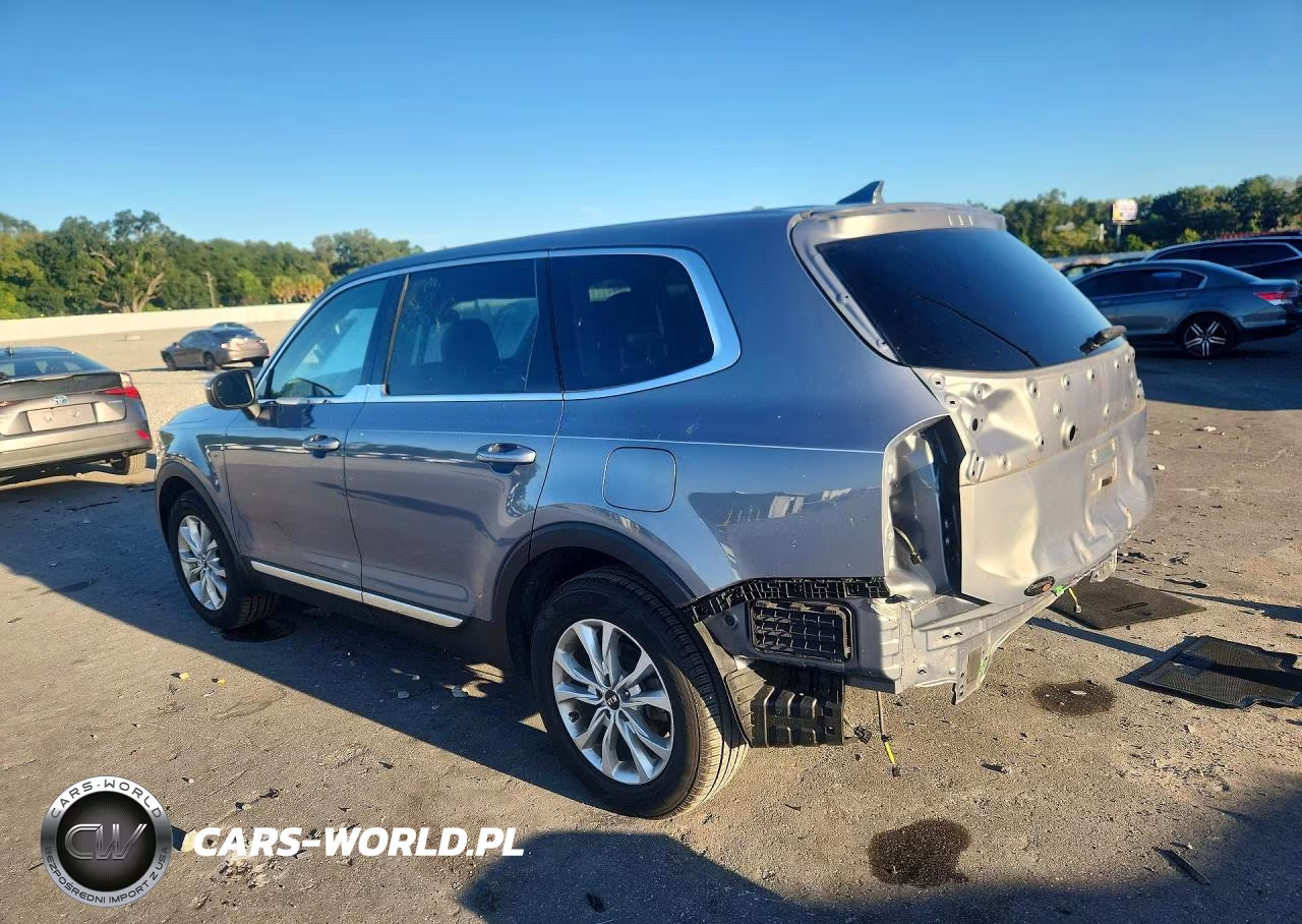 2020 Kia Telluride Lx VIN:5XYP24HC2LG031828 - 2
