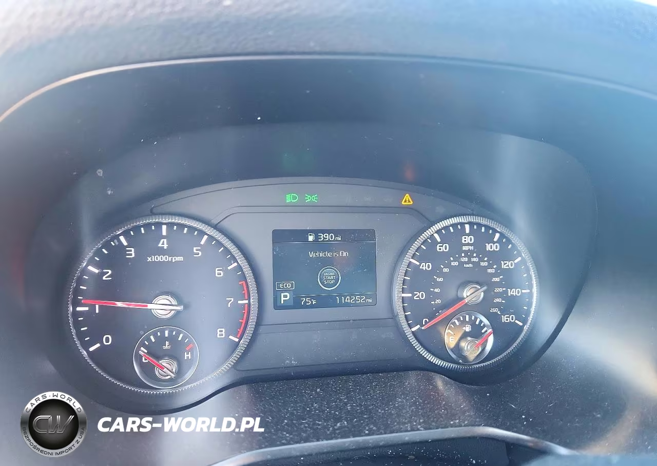 2020 Kia Telluride Lx VIN:5XYP24HC2LG031828 - 9
