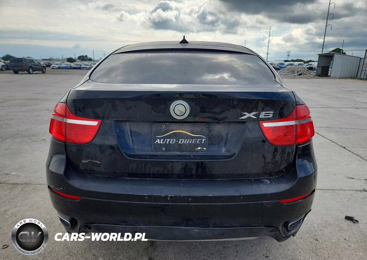 2011 BMW X6 xDrive50I VIN:5UXFG8C50BLZ96394 - 6
