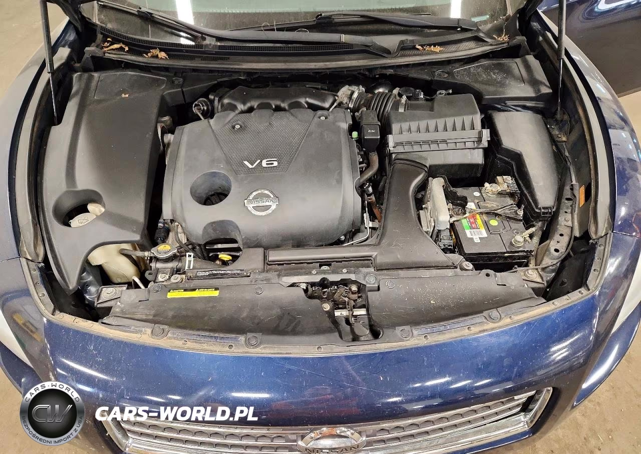 2010 Nissan Maxima VIN:1N4AA5AP4AC833641 - 11