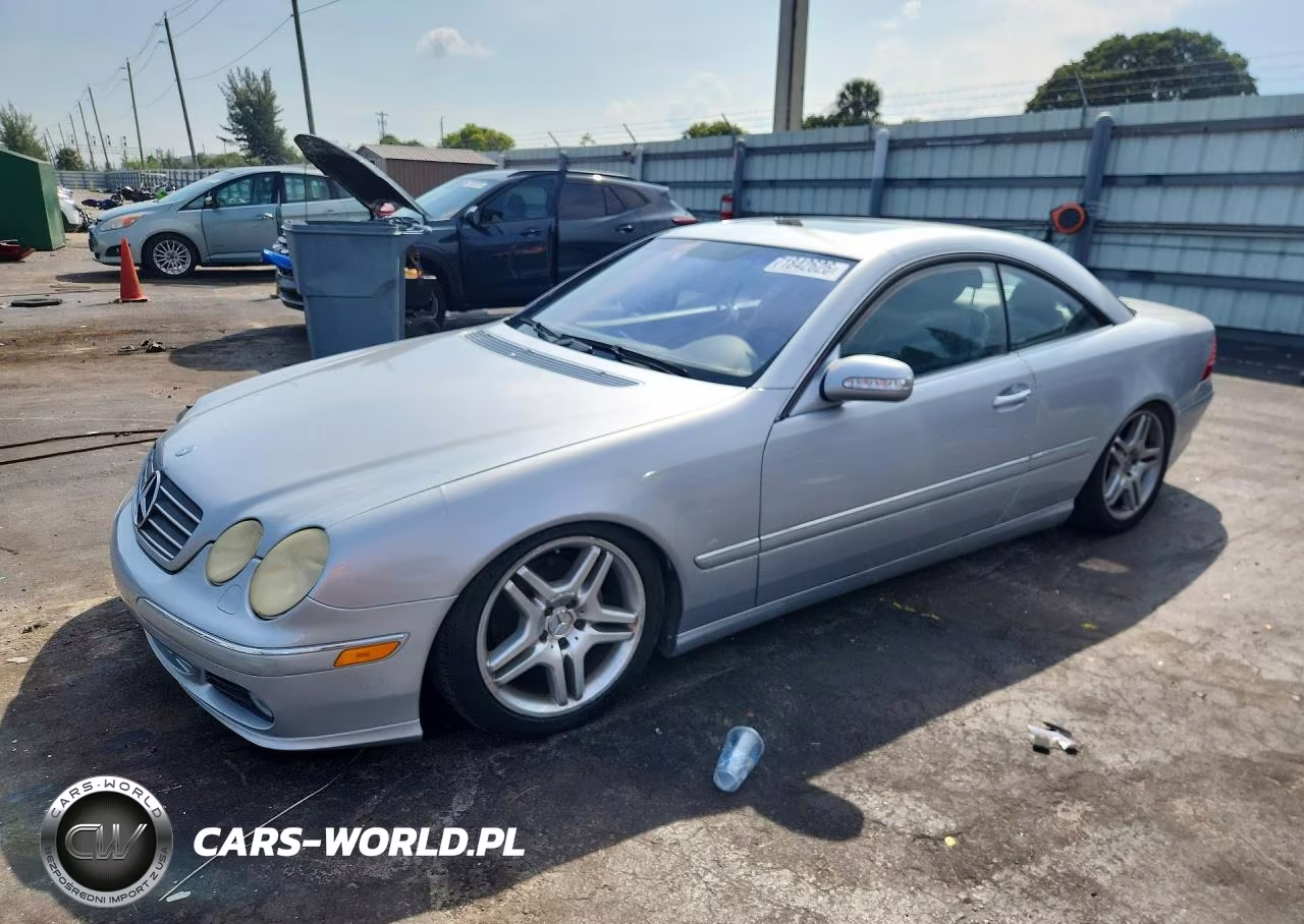 2003 Mercedes-Benz Cl 500 VIN:WDBPJ75J43A035160 - 1