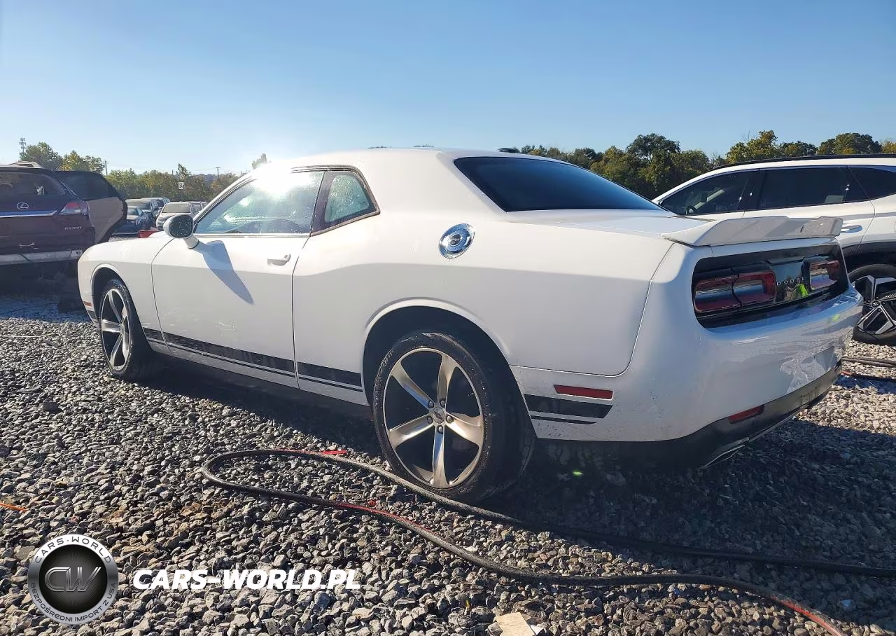 2019 Dodge Challenger Sxt VIN:2C3CDZAG9KH620530 - 2