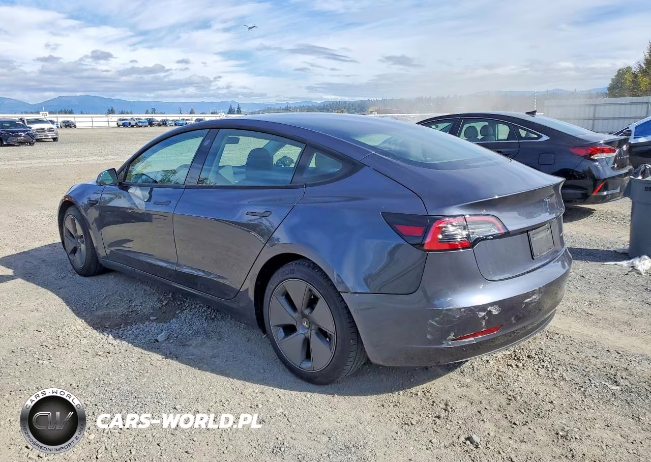 2021 Tesla Model 3 VIN:5YJ3E1EB4MF862000 - 2