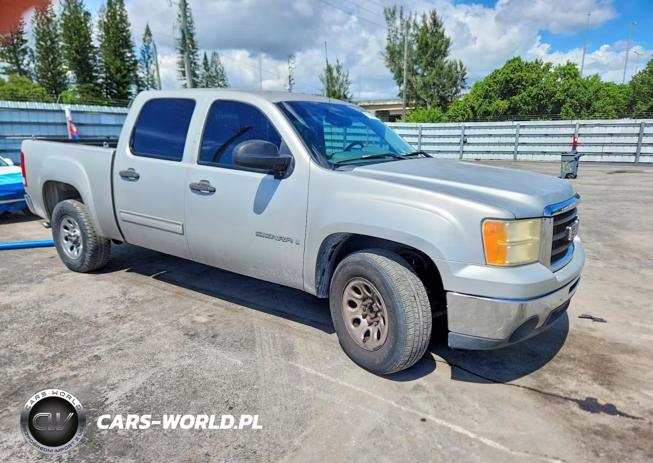 2009 GMC Sierra C1500 VIN:2GTEC13C591131628 - 4