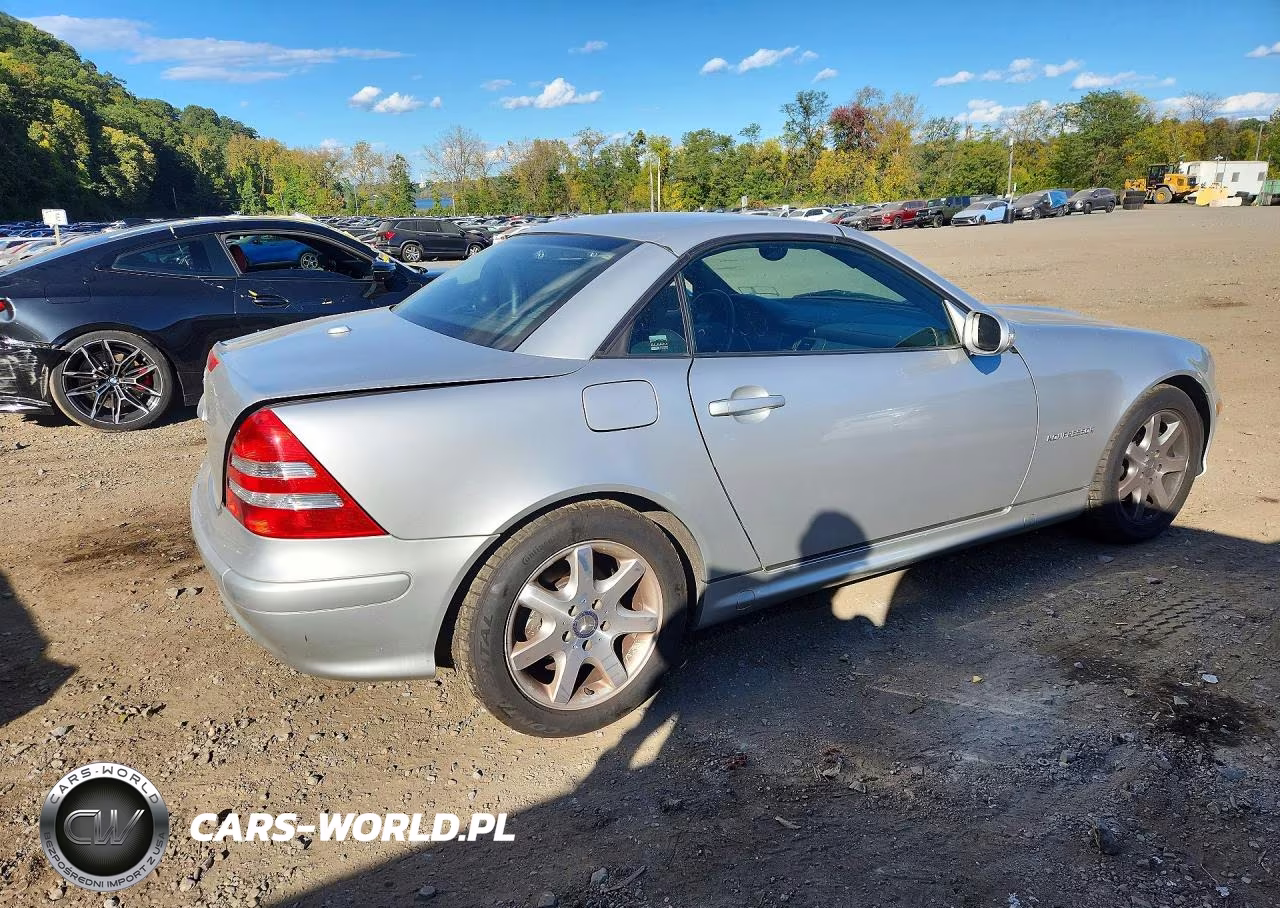2003 Mercedes-Benz Slk 230 Kompressor VIN:WDBKK49F83F277674 - 3