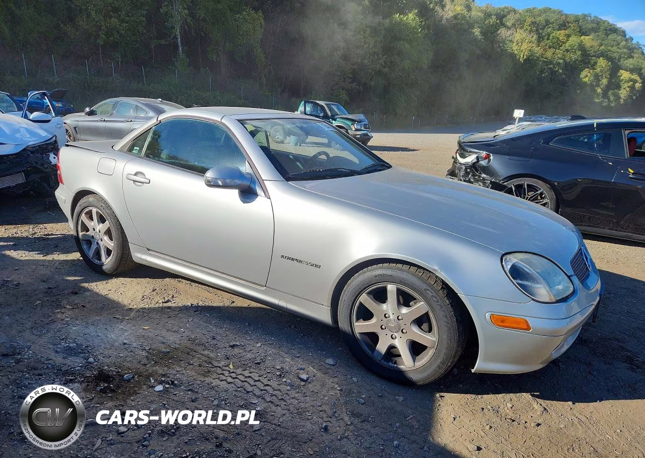 2003 Mercedes-Benz Slk 230 Kompressor VIN:WDBKK49F83F277674 - 4
