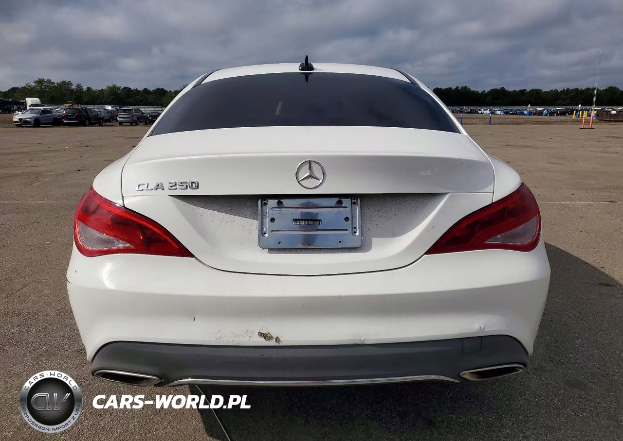 2019 Mercedes-Benz Cla 250 VIN:WDDSJ4EB2KN741351 - 6