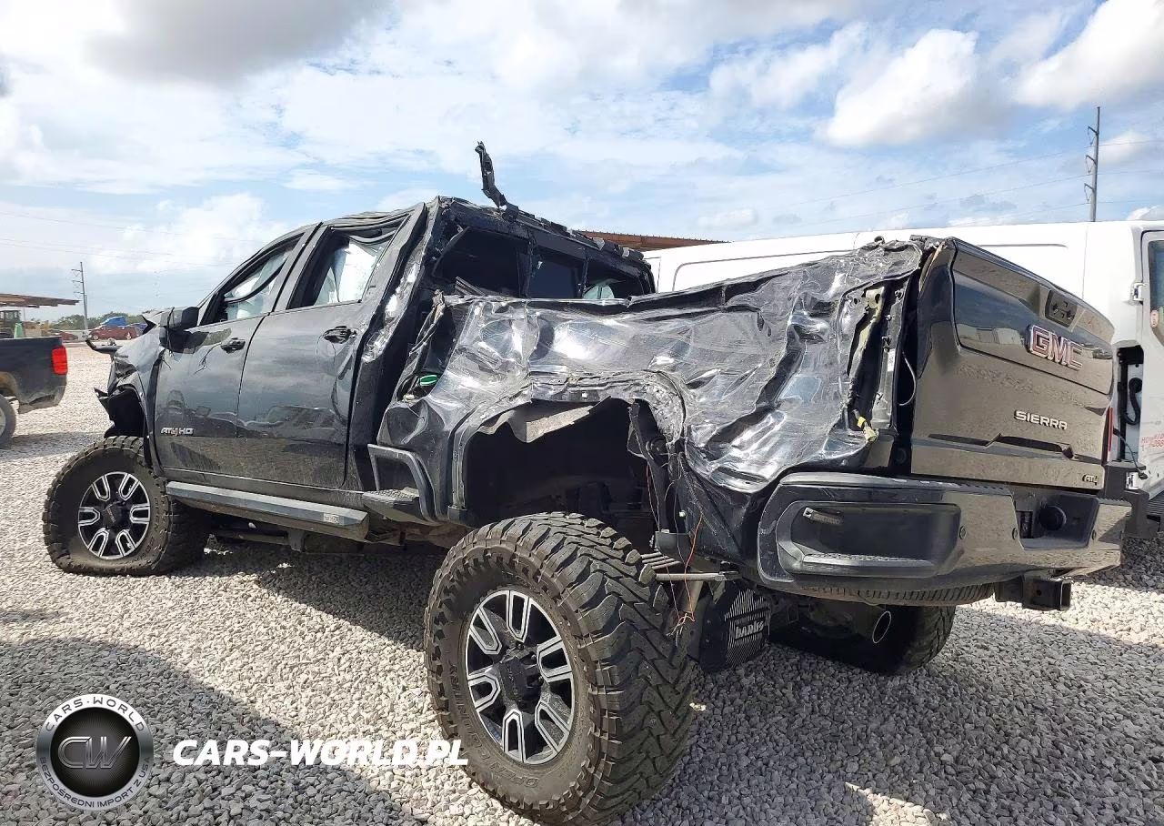 2020 GMC Sierra K2500 At4 VIN:1GT49PEY7LF119664 - 2
