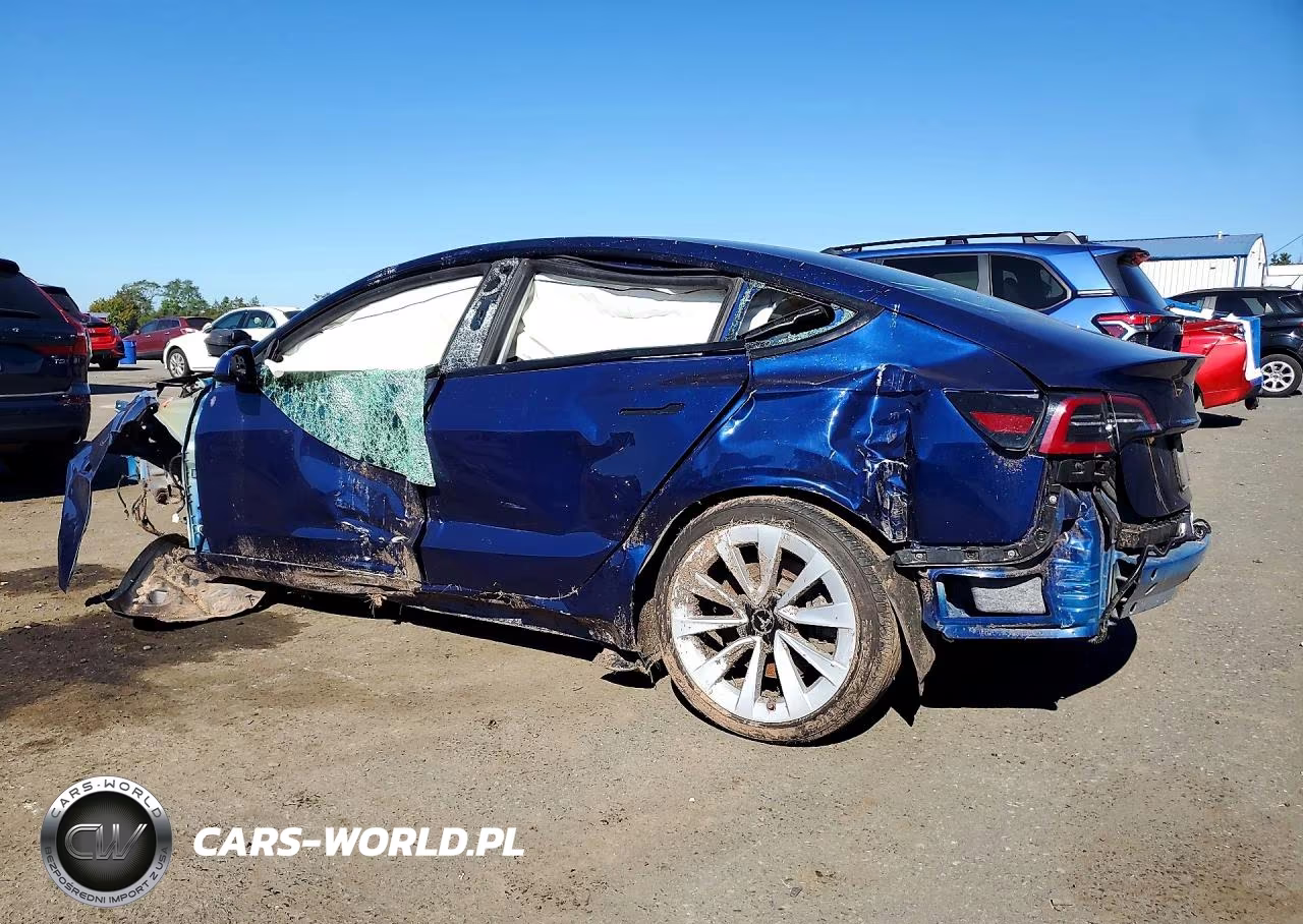 2023 Tesla Model 3 VIN:5YJ3E1EA1PF434204 - 2