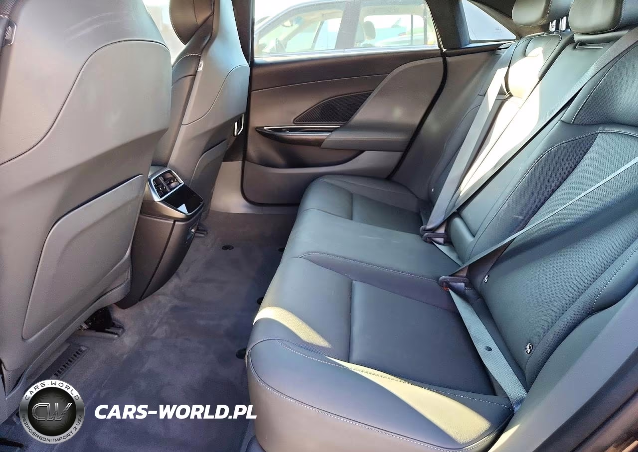 2023 Lucid Motors Air Pure VIN:50EA1PFA1PA009171 - 10