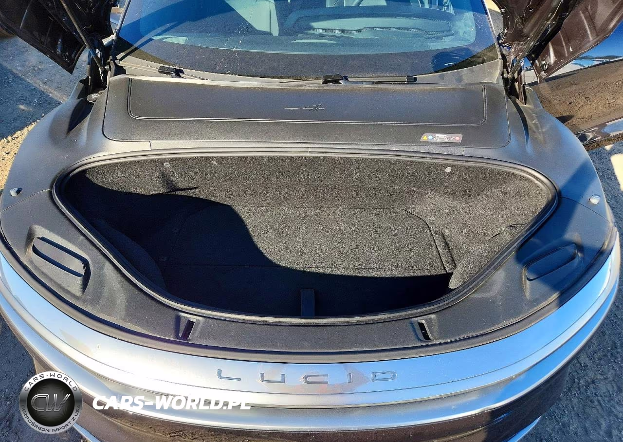 2023 Lucid Motors Air Pure VIN:50EA1PFA1PA009171 - 11