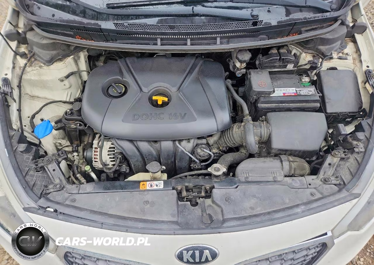 2016 Kia Forte Lx VIN:KNAFX4A64G5605018 - 11