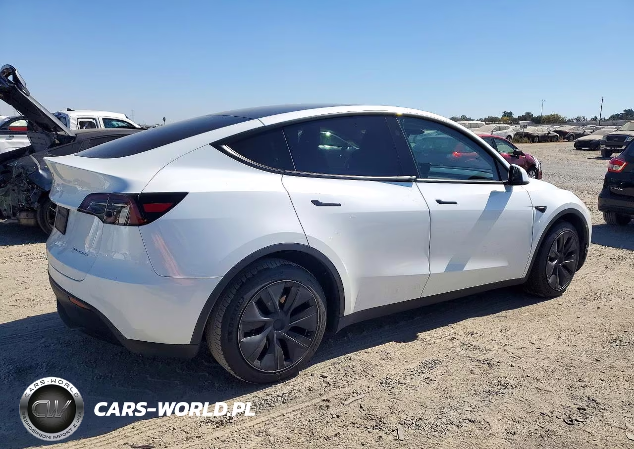 2025 Tesla Model Y VIN:7SAYGDEE6SF276376 - 3
