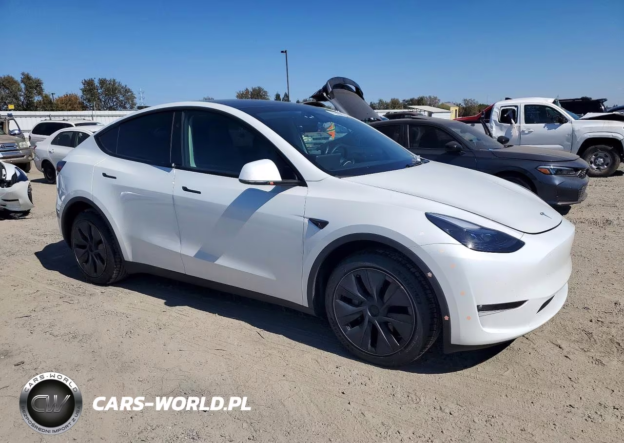 2025 Tesla Model Y VIN:7SAYGDEE6SF276376 - 4