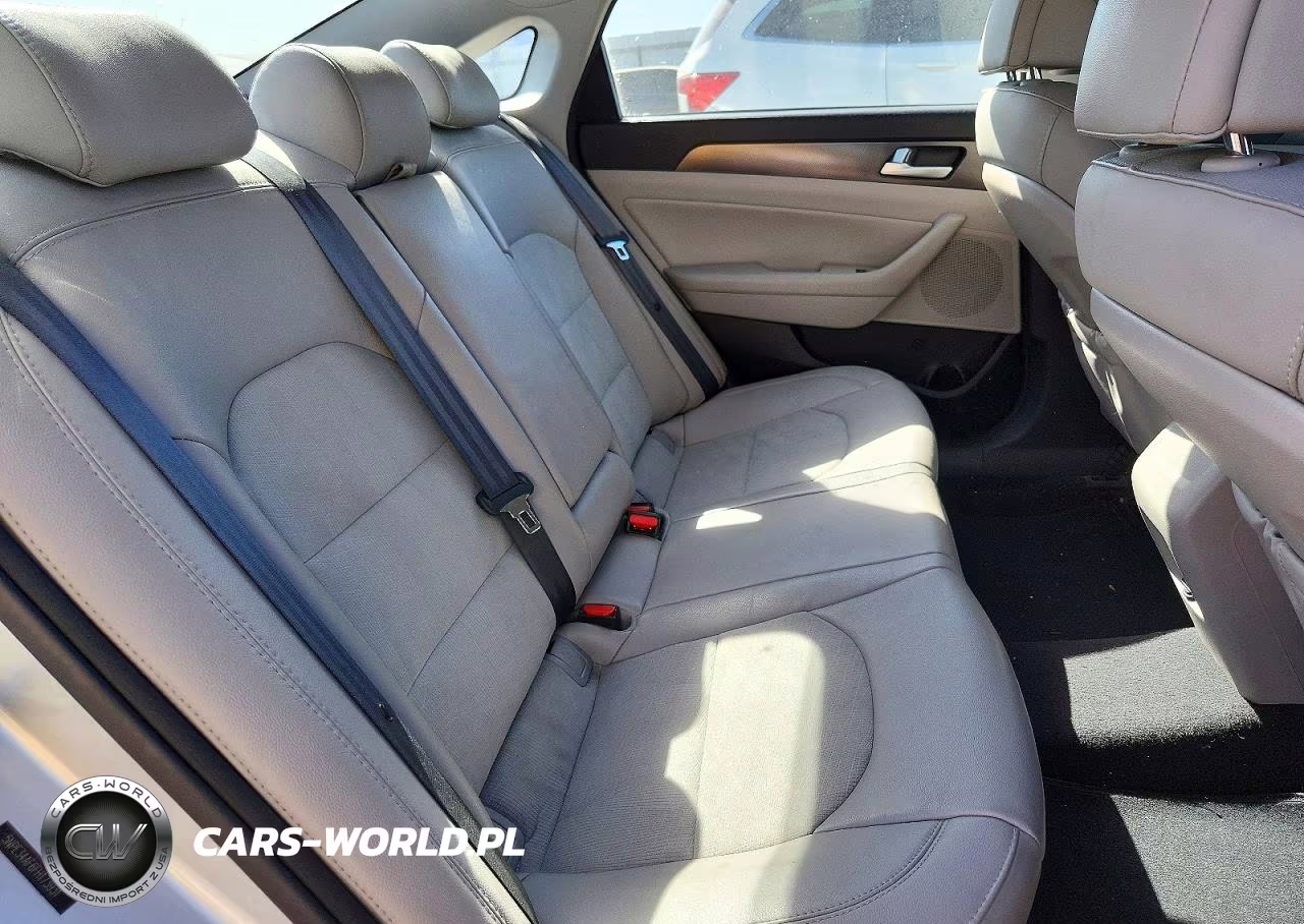 2015 Hyundai Sonata Sport VIN:5NPE34AF6FH173931 - 10