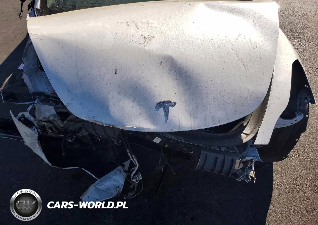 2019 Tesla Model 3 VIN:5YJ3E1EA3KF330998 - 11