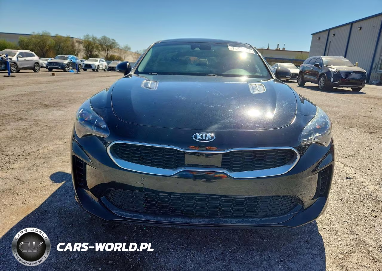 2018 Kia Stinger Premium VIN:KNAE25LAXJ6014355 - 5
