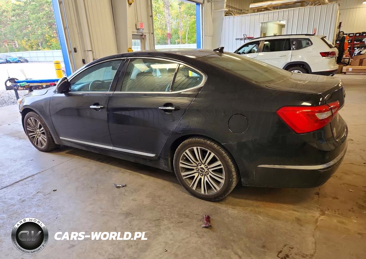 2014 Kia Cadenza Premium VIN:KNALN4D79E5144313 - 2