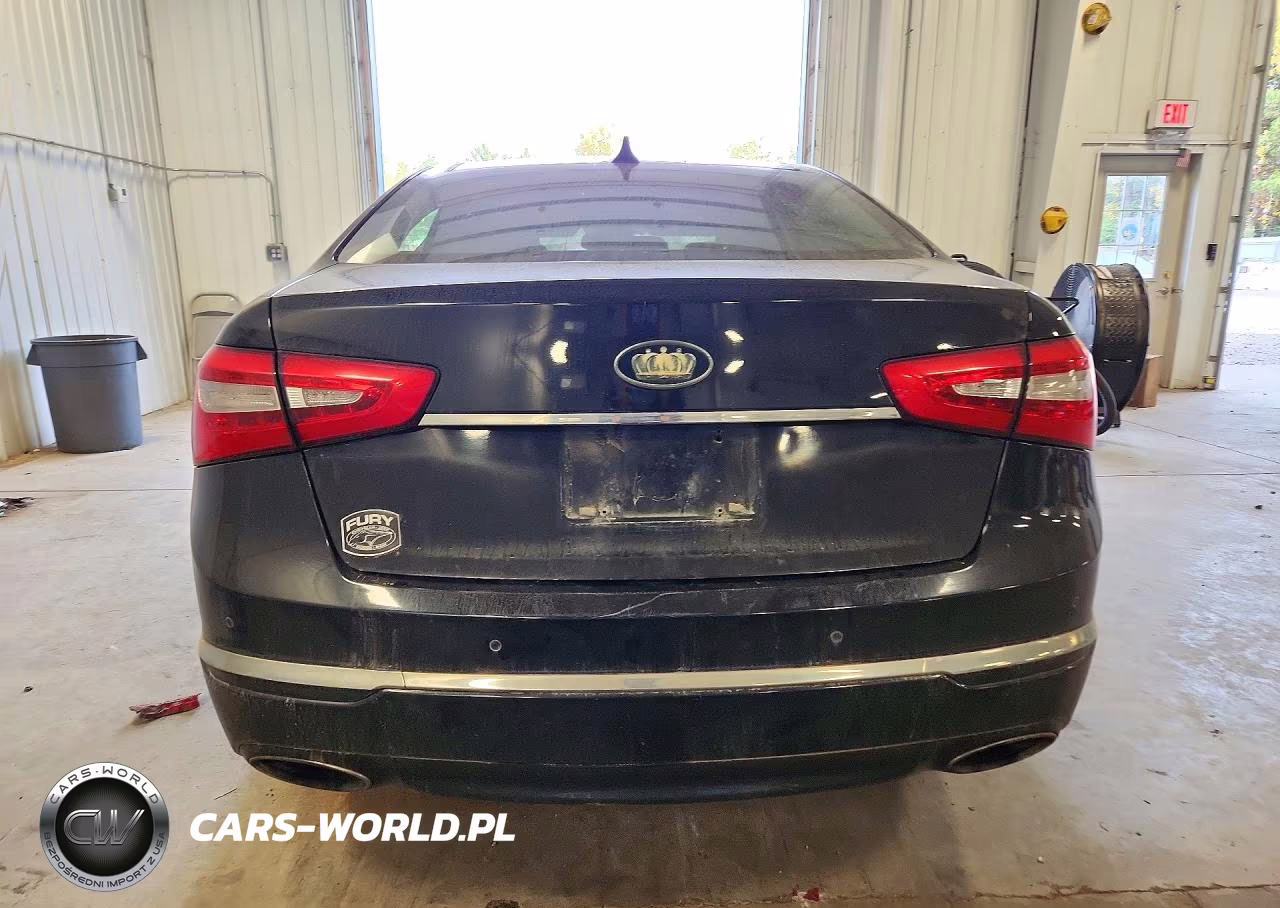 2014 Kia Cadenza Premium VIN:KNALN4D79E5144313 - 6