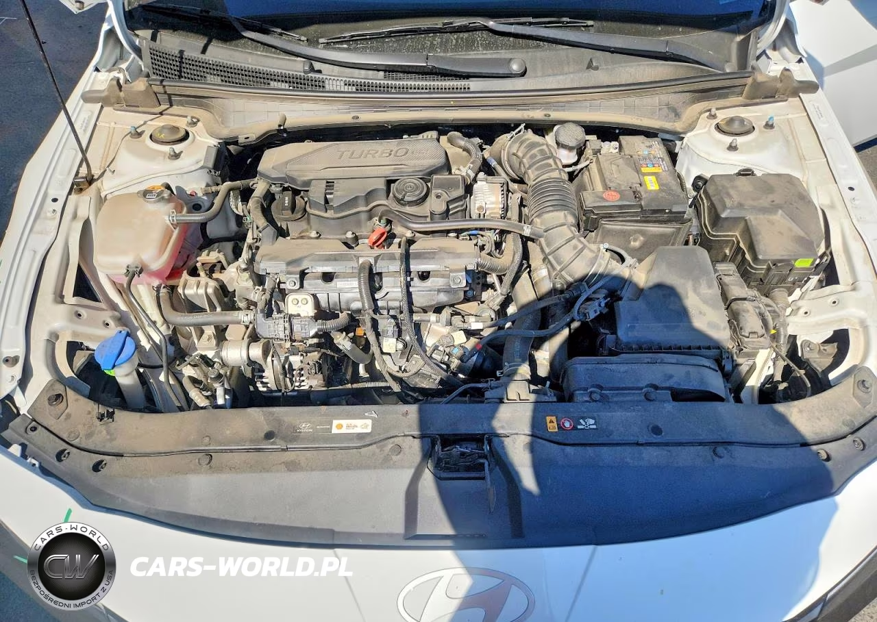 2025 Hyundai Elantra N Line VIN:KMHLR4DF1SU979611 - 11