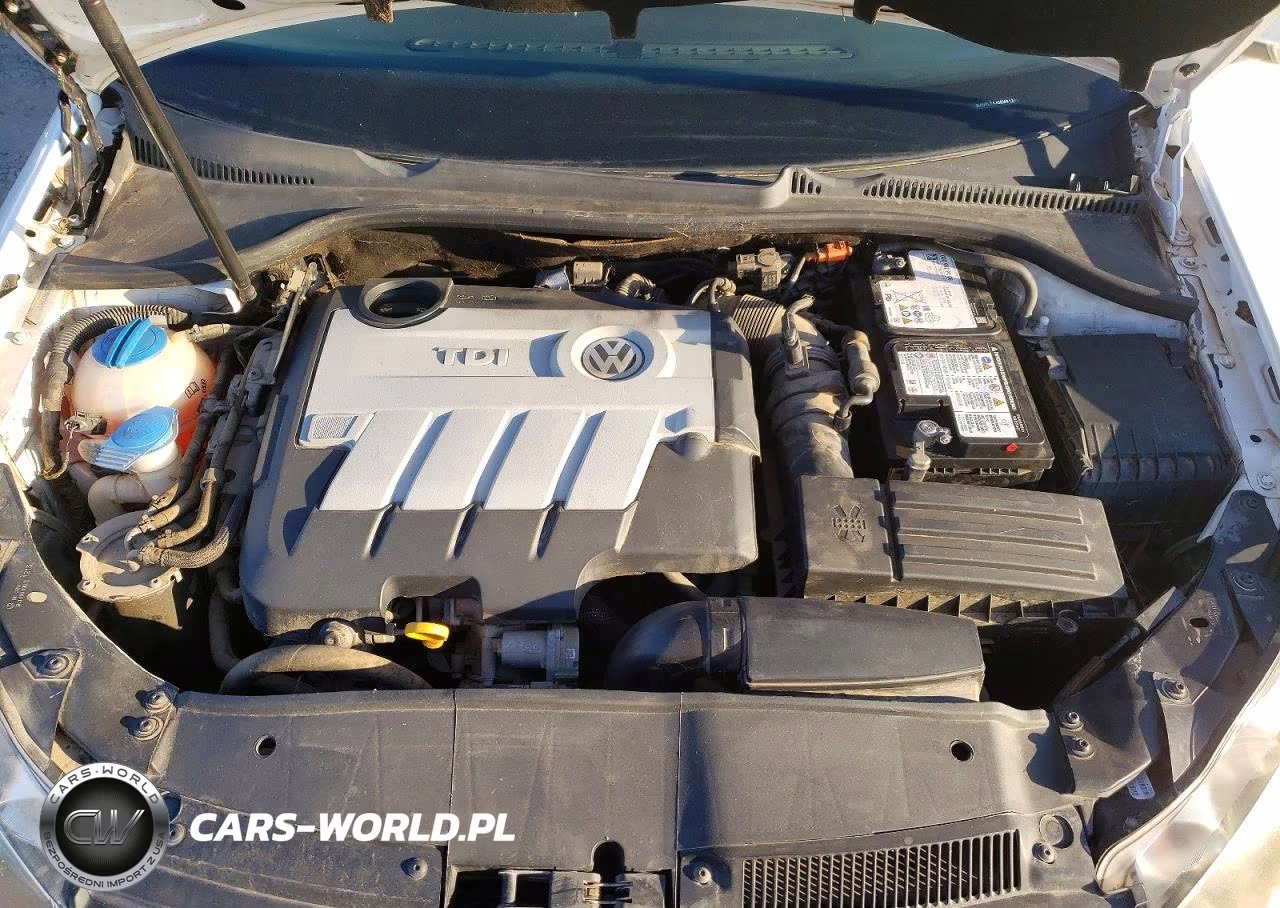 2014 Volkswagen Jetta Tdi VIN:3VWPL7AJ0EM612691 - 11