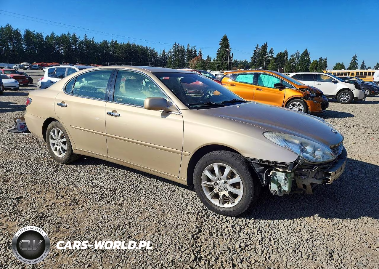 2002 Lexus Es 300 VIN:JTHBF30G820059482 - 4