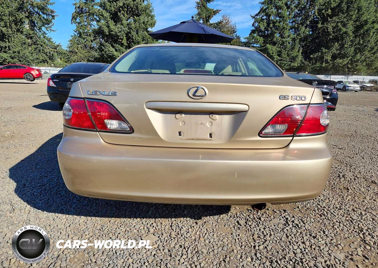 2002 Lexus Es 300 VIN:JTHBF30G820059482 - 6