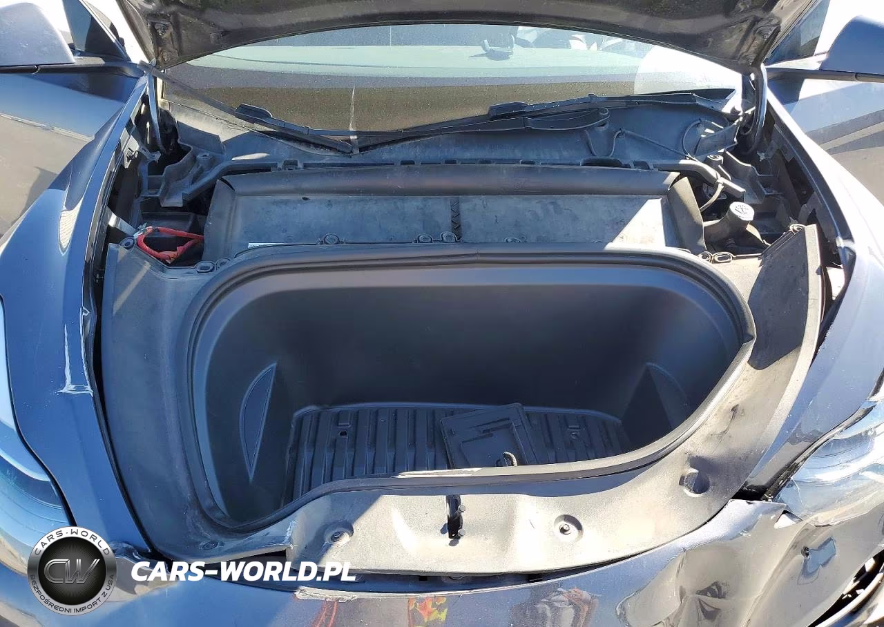 2023 Tesla Model Y VIN:7SAYGDEE8PF869700 - 11