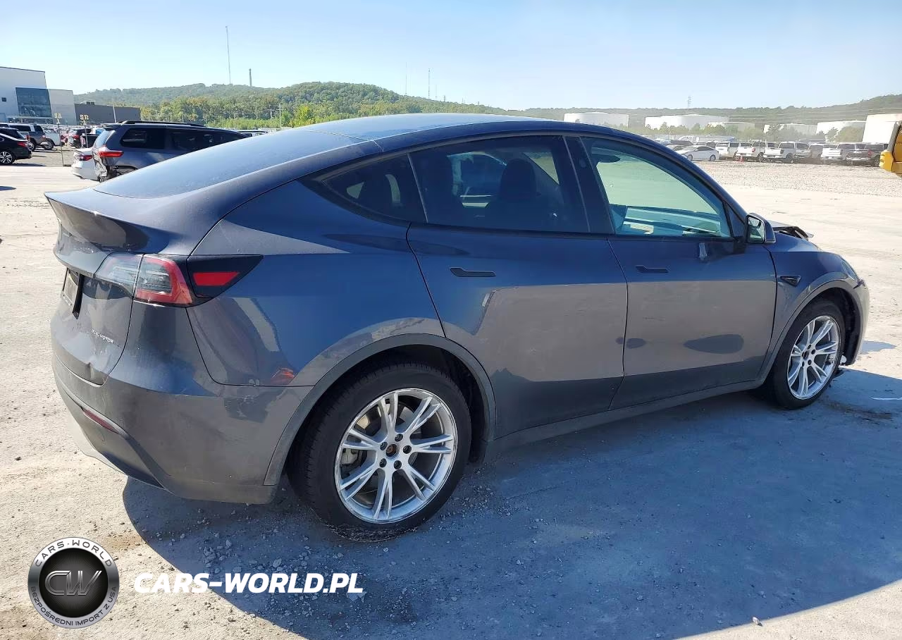 2023 Tesla Model Y VIN:7SAYGDEE8PF869700 - 3