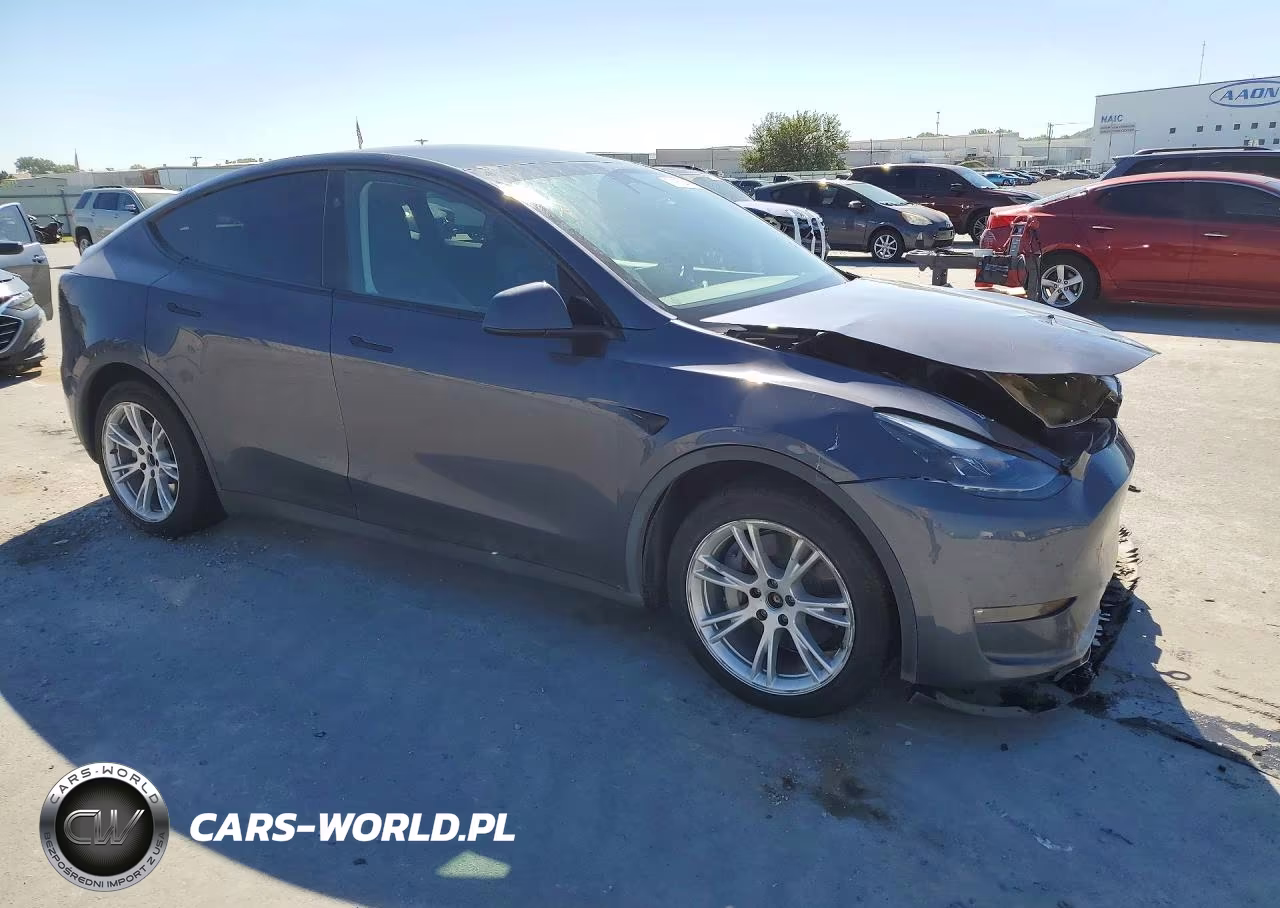 2023 Tesla Model Y VIN:7SAYGDEE8PF869700 - 4