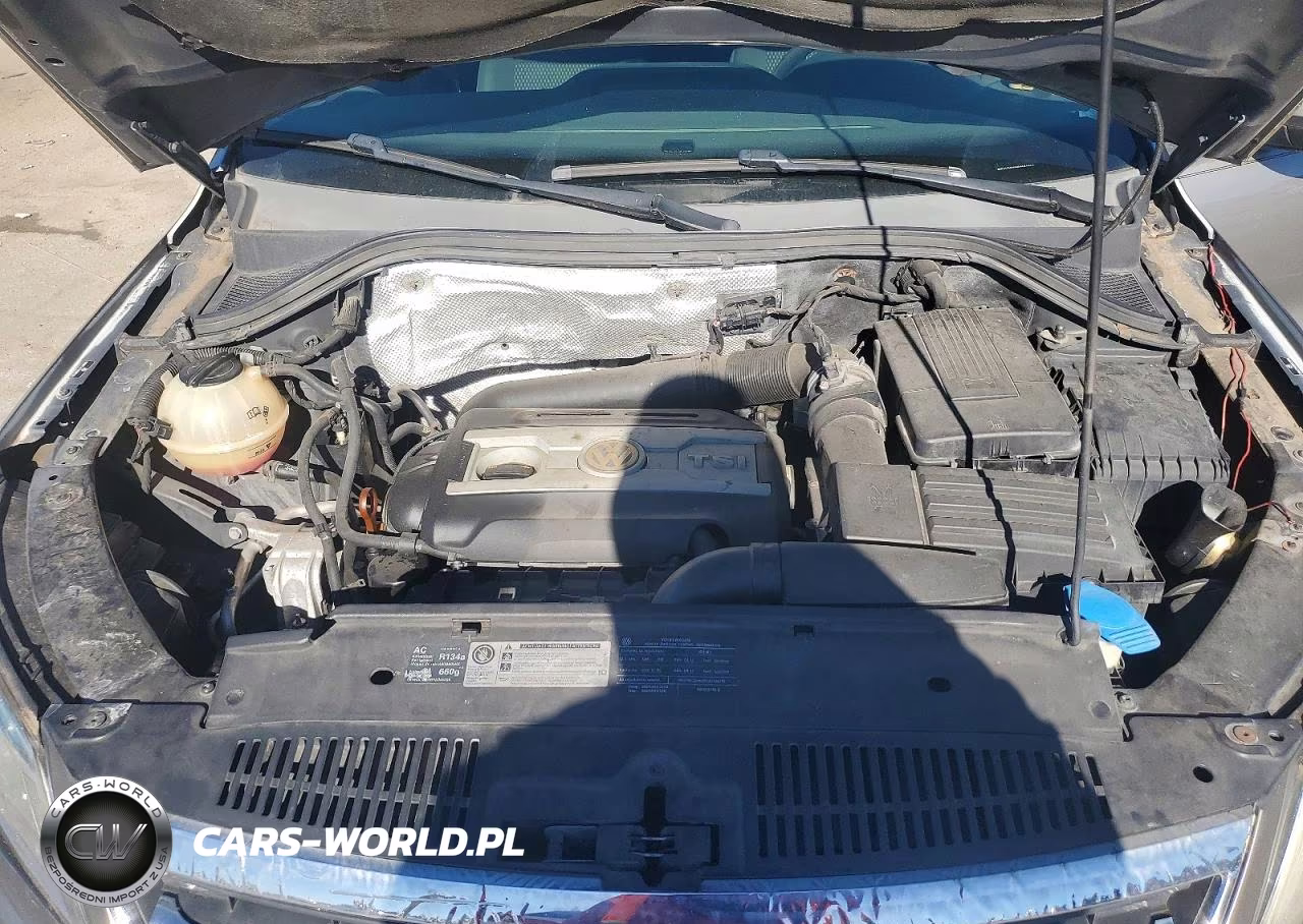 2011 Volkswagen Tiguan S VIN:WVGAV7AX7BW521710 - 11