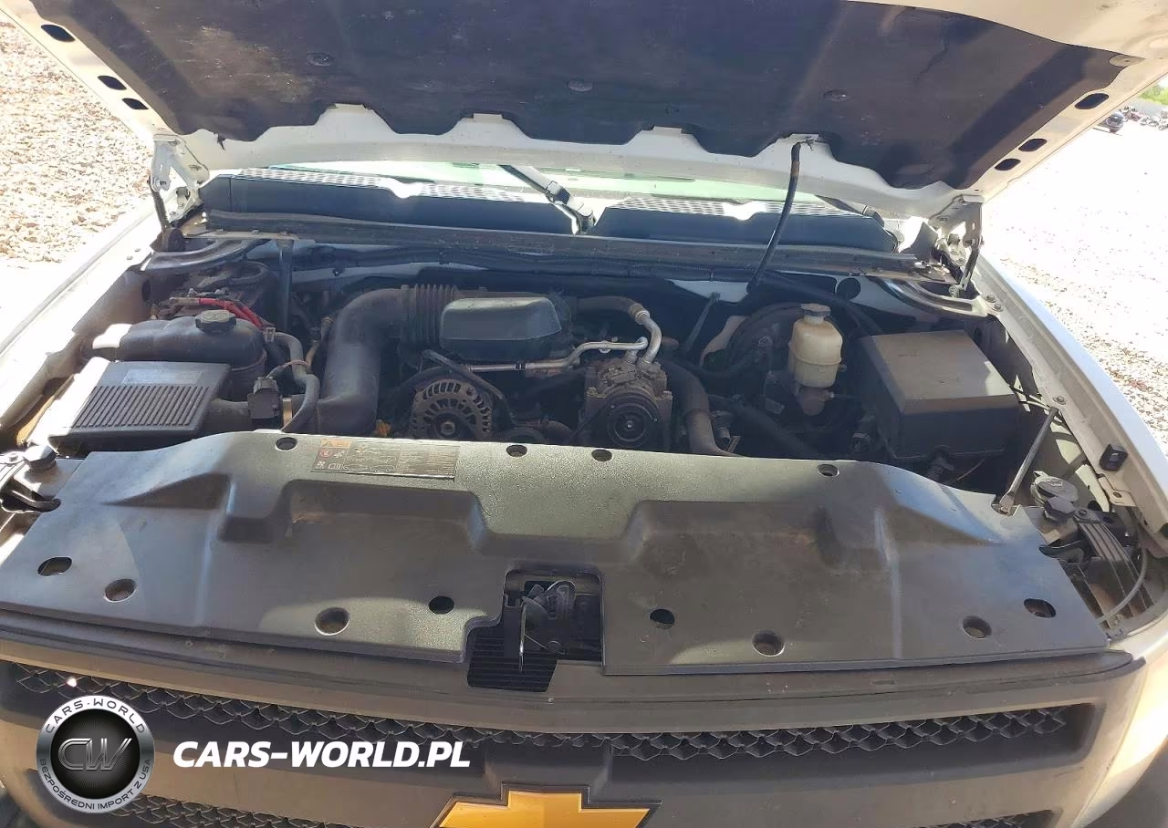 2013 Chevrolet Silverado C1500 VIN:1GCNCPEX5DZ273755 - 11