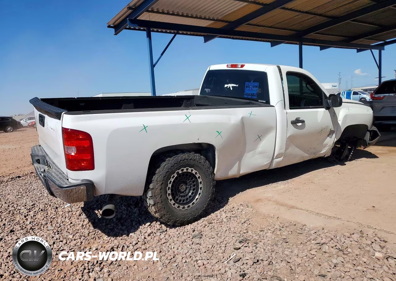 2013 Chevrolet Silverado C1500 VIN:1GCNCPEX5DZ273755 - 3