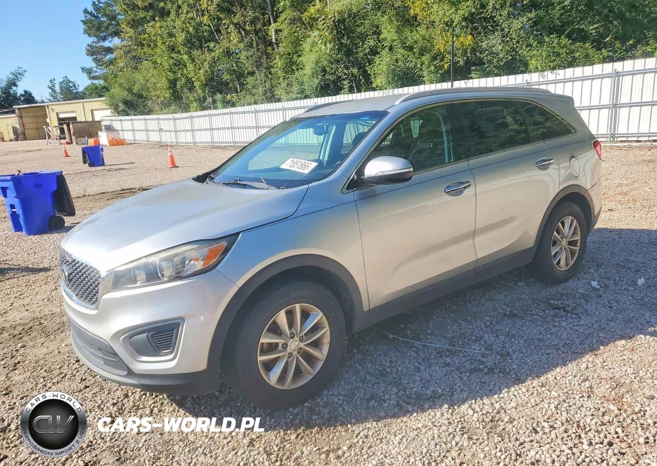 2017 Kia Sorento Lx VIN:5XYPG4A34HG267884 - 1