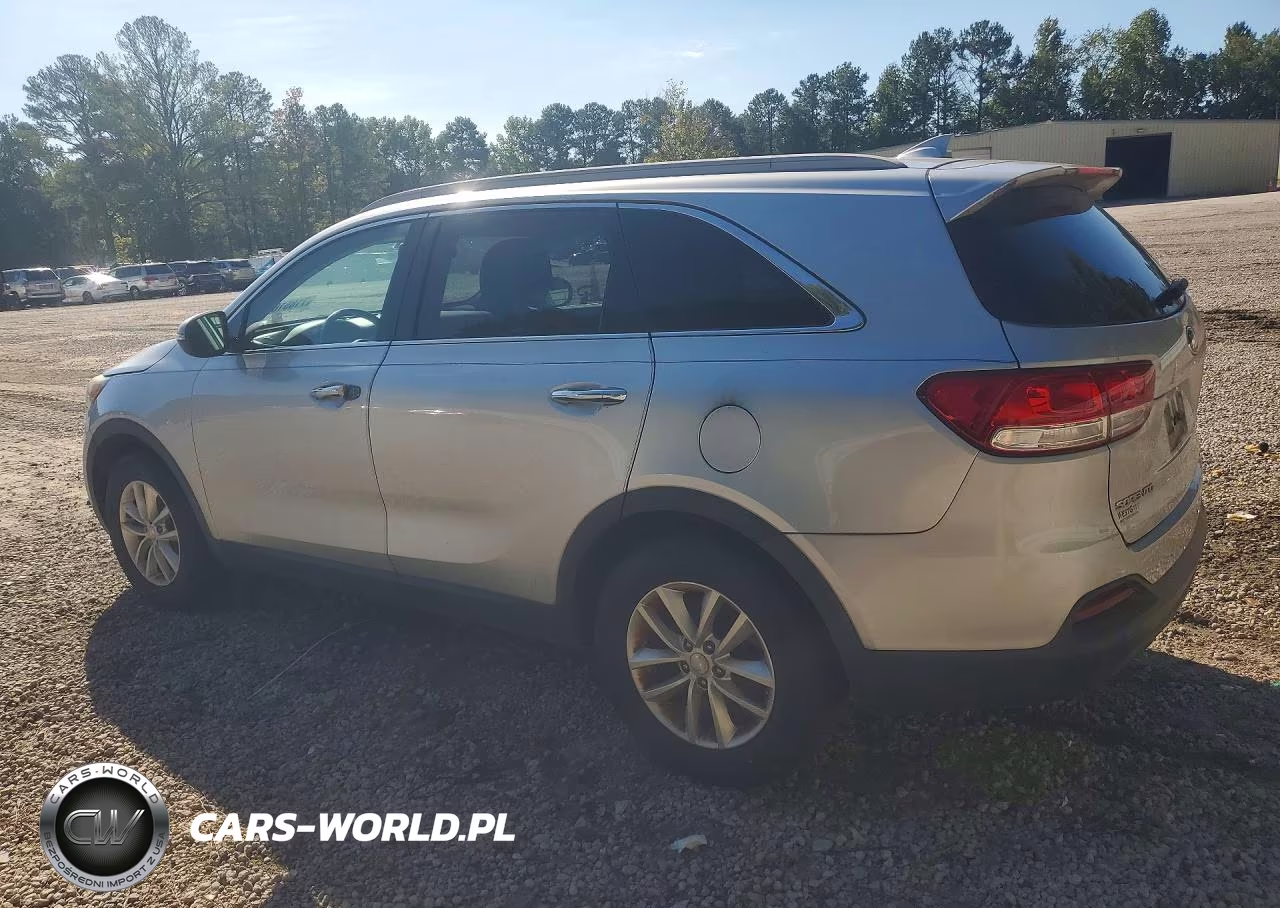 2017 Kia Sorento Lx VIN:5XYPG4A34HG267884 - 2